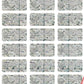 5,000 Tamper Evident Holographic Bright Silver Security Label Seal Sticker, Rectangle 1" x 0.375" (25mm x 9mm). Demetalized Laser Customization. >Click on item details to customize it.