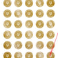 5,000 Gold TamperVoidPro Tamper Evident Security Labels Seal Sticker, Round/ Circle 0.5" diameter (13mm). Demetalized Laser Customization. >Click on item details to customize it.