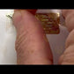 Comparison video showing the different models of watches.